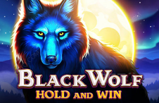 Black Wolf slot